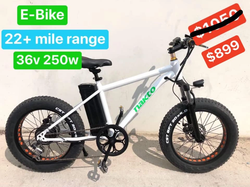 ebike1