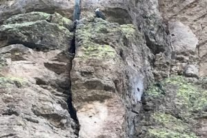 East-valley-kayak-rentals-bald-eagle- East-valley-kayak-rentals-bald-eagle-